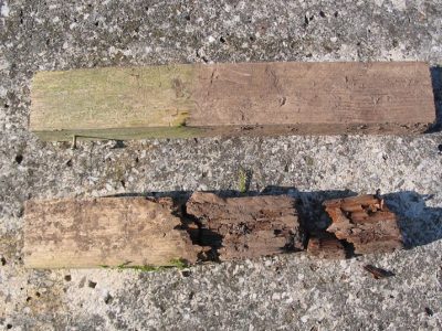 Creto Wood Holzschutz - Langzeittest